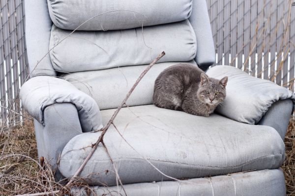 Recliner Disposal in South Jordan